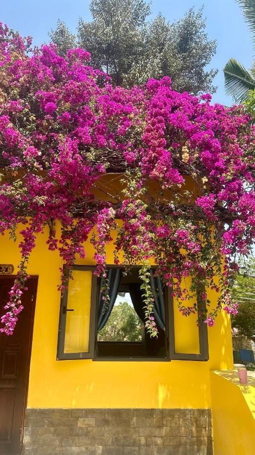 Bao Dien Guesthouse Баолок Экстерьер фото